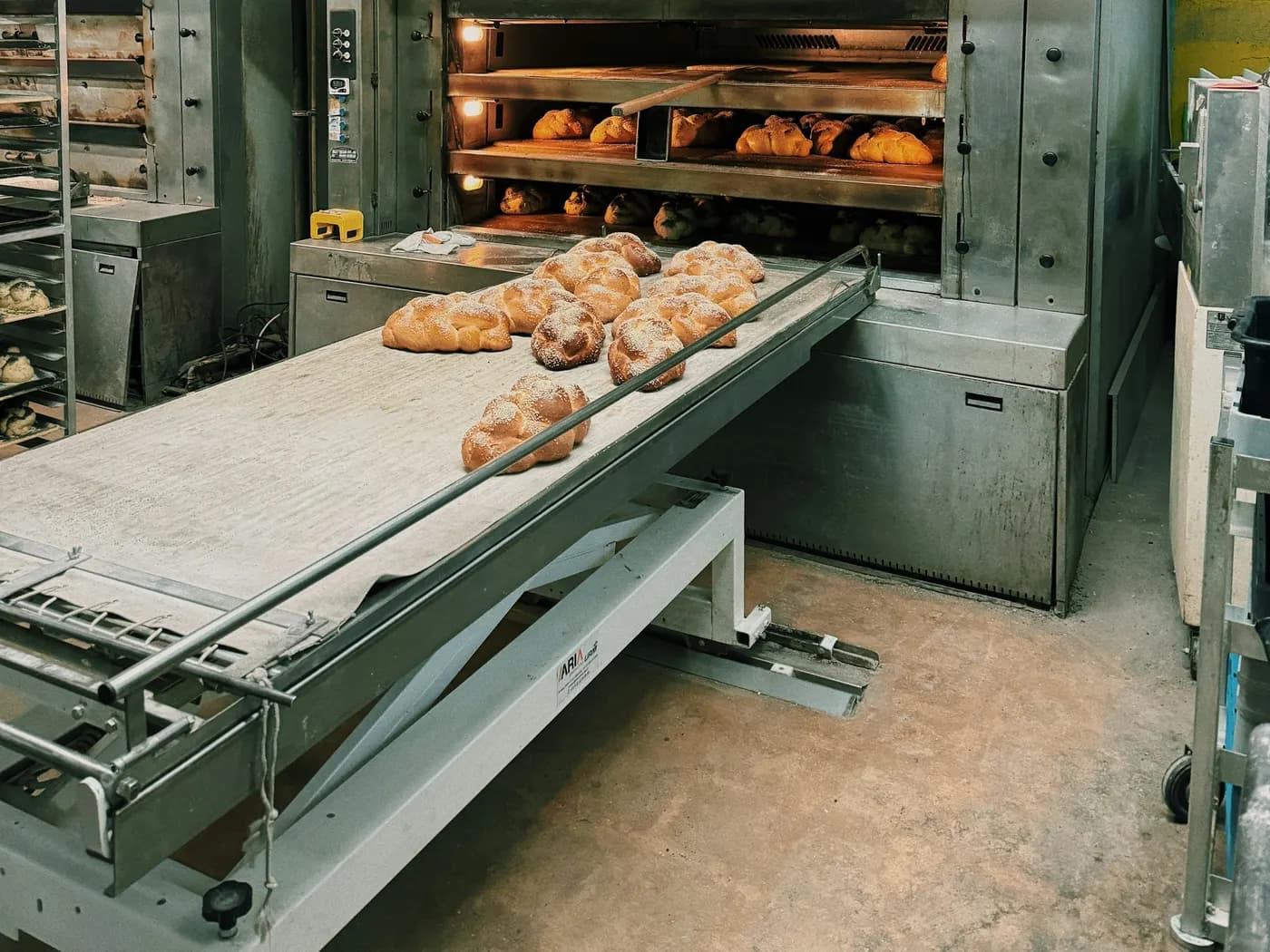 Loaves coming out of a bakery deck oven onto a conveyor