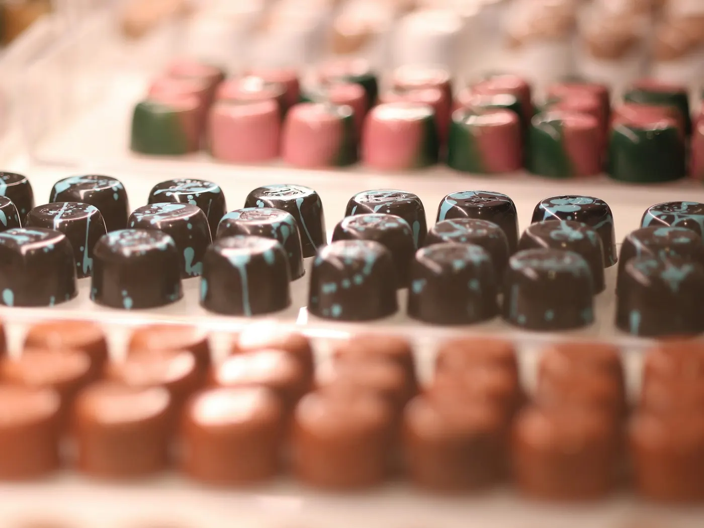 Rows of finished chocolate candies