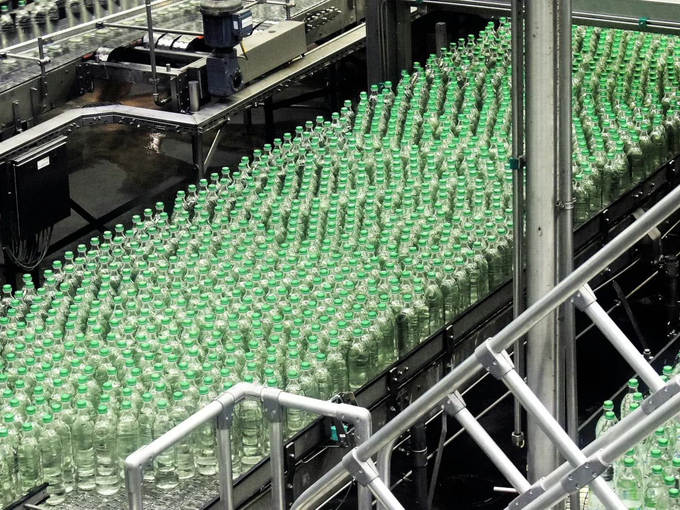 Rows of green glass bottles on a conveyor in a beverage filling plant