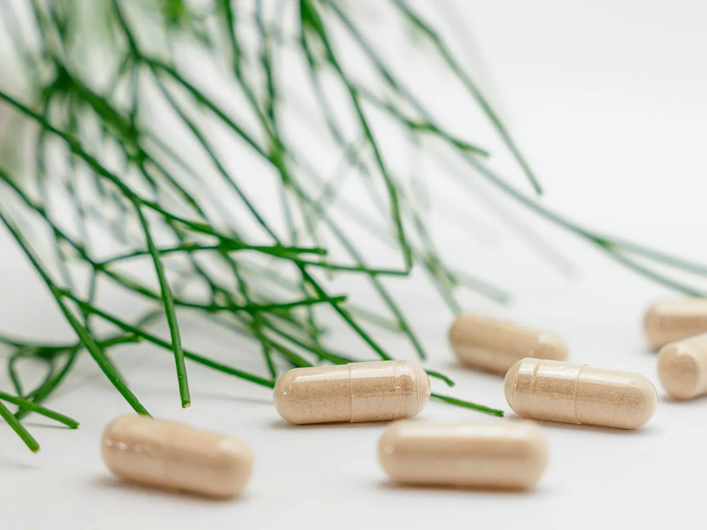 Supplement capsules